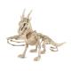 SQUELETTE DRAGON 35CM