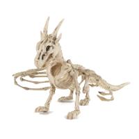 SQUELETTE DRAGON 35CM