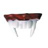 DENTIER VAMPIRE