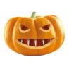 DENTS POUR CITROUILLE X20