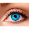 LENTILLES ROI DE GLACE HEBDO sans correction