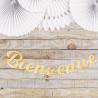 GUIRLANDE LETTRES BIENVENUE OR 14CMX1M40