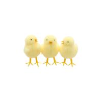 POUSSIN 7CM (3 modèles aléatoires)