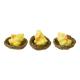 POUSSIN EN RESINE DANS NID X3