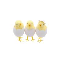 POUSSIN JAUNE DANS COQUILLE H.9CM