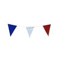 GUIRLANDE FANIONS TRICOLORES 10M