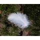 PLUMES 10GR 5/10CM BLANC