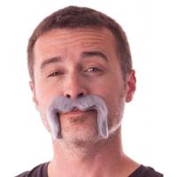 MOUSTACHE WATSON GRISE