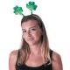 SERRE TETE SAINT PATRICK