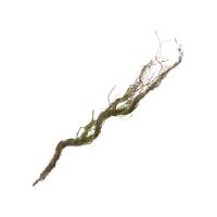 BRANCHE AVEC MOUSSE 75CM