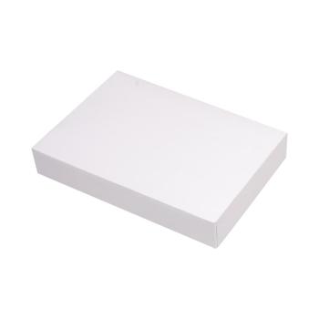 BOITE DE TRANSPORT 28X20X6CM BLANC X1
