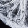 TOILE ARAIGNEE 60G + 4 ARAIGNEES