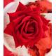 ROSE DIAMANT ROUGE A ATTACHER X2 (sur carte)