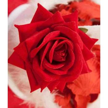 ROSE DIAMANT ROUGE A ATTACHER X2 (sur carte)
