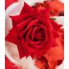 ROSE DIAMANT ROUGE A ATTACHER X2 (sur carte)