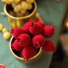 GRENADES VELOURS BORDEAUX SUR TIGE X6 (3x12cm)