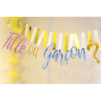 GUIRLANDE GENDER FILLE OU GARCON 2.5M