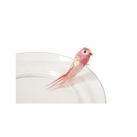PERRUCHE SUR PINCE CORAIL X2
