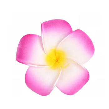 FLEUR DE MONOI ADHESIVE FUSCHIA X6 (diam.5cm)