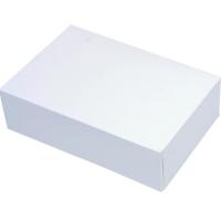 BOITE DE TRANSPORT 28X20X5CM BLANC X1