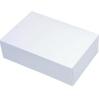 BOITE DE TRANSPORT 28X20X5CM BLANC X1