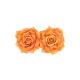 SET 2 ROSES ORANGES 9X5.5CM