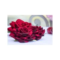 SET 6 ROSES EFFET VELOURS ROUGE 7X4.5CM