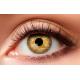 LENTILLES VOODOO SWIRL ANNUELLES