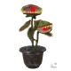 PLANTE CARNIVORE ANIMEE 36CM